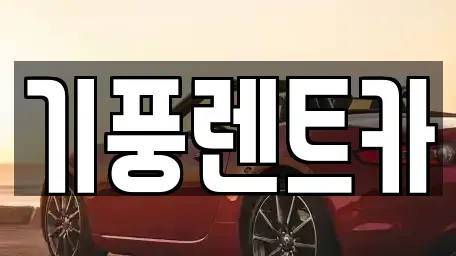 충청남도 부여군 부여읍 렌트카 전문 기풍렌트카