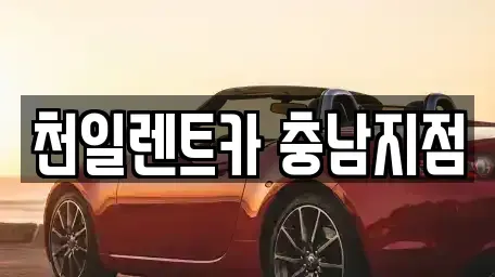 충청남도 부여군 부여읍 렌트카 전문 천일렌트카 충남지점