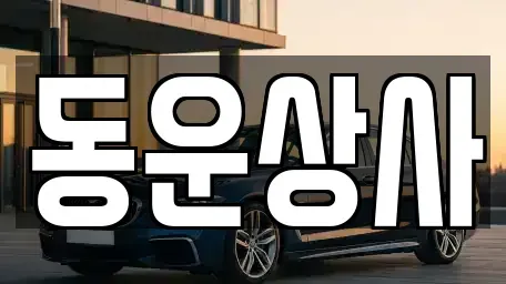 충청남도 부여군 부여읍 중고차,렌트카,중고차매입,중고차매매,장기렌트카,단기렌트카