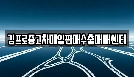 충청남도 부여군 부여읍 중고차매입 전문 김프로중고차매입판매수출매매센터