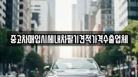 충청남도 부여군 부여읍 중고차매입 전문 중고차매입시세내차팔기견적가격수출업체