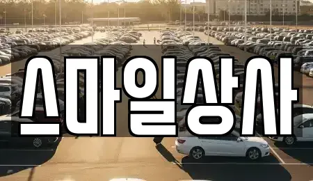 충청남도 서천군 마서면 중고차매매 전문 스마일상사