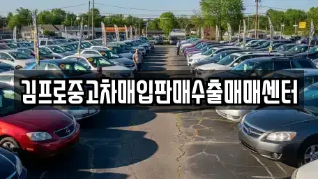 충청북도 괴산군 괴산읍 중고차매입 전문 김프로중고차매입판매수출매매센터