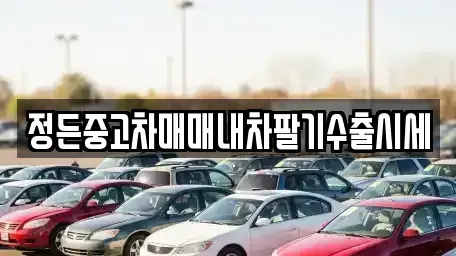 충청북도 괴산군 소수면 중고차매매,단기렌트카,중고차매입,장기렌트카,중고차,렌트카