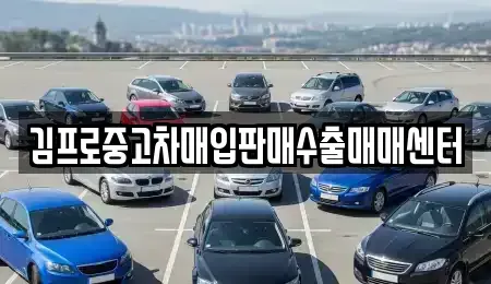 충청북도 괴산군 소수면 중고차매입 전문 김프로중고차매입판매수출매매센터