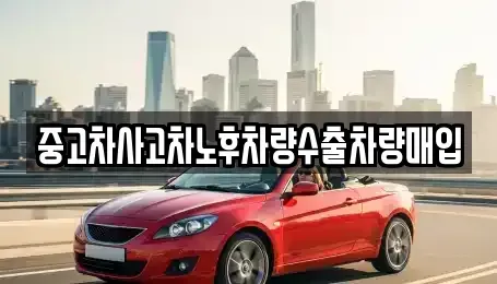 충청북도 옥천군 안내면 중고차매입 전문 중고차사고차노후차량수출차량매입