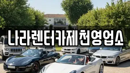 충청북도 제천시 청전동 렌트카 전문 나라렌터카제천영업소