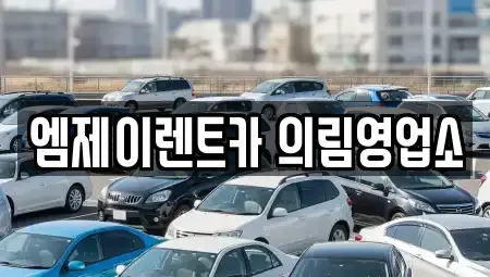 충청북도 제천시 청전동 렌트카 전문 엠제이렌트카 의림영업소
