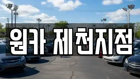 충청북도 제천시 청전동 렌트카 전문 원카 제천지점