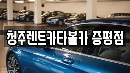 충청북도 증평군 도안면 렌트카 전문 청주렌트카타볼카 증평점