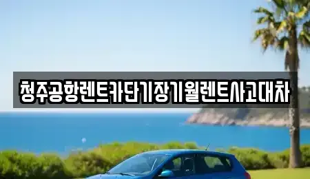 충청북도 청주시 상당구 문화동 렌트카 전문 청주공항렌트카단기장기월렌트사고대차