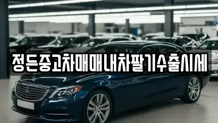 충청북도 청주시 상당구 문화동 중고차 전문 정든중고차매매내차팔기수출시세