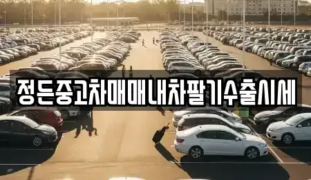 충청북도 청주시 상당구 미원면 중고차매매 전문 정든중고차매매내차팔기수출시세