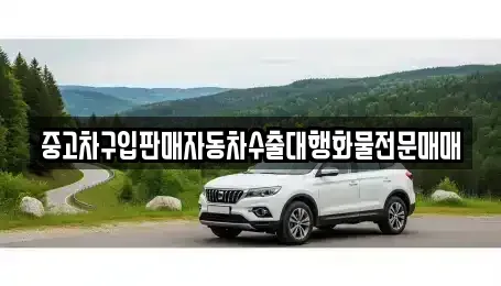 충청북도 청주시 상당구 미원면 중고차매매 전문 중고차구입판매자동차수출대행화물전문매매