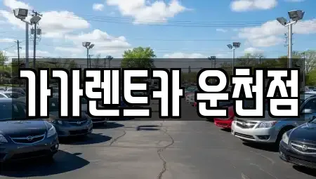 충청북도 청주시 상당구 영동 렌트카 전문 가가렌트카 운천점