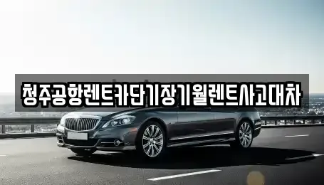 충청북도 청주시 청원구 주중동 단기렌트카 전문 청주공항렌트카단기장기월렌트사고대차