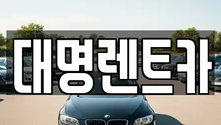 충청북도 청주시 청원구 주중동 렌트카 전문 대명렌트카