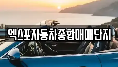 충청북도 청주시 청원구 주중동 중고차매매 전문 엑스포자동차종합매매단지