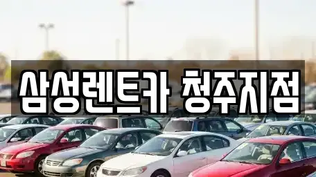 충청북도 청주시 흥덕구 남촌동 렌트카 전문 삼성렌트카 청주지점