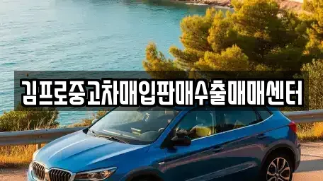 충청북도 청주시 흥덕구 향정동 중고차매매 전문 김프로중고차매입판매수출매매센터