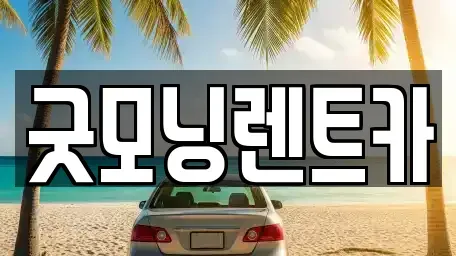 충청북도 충주시 금릉동 렌트카 전문 굿모닝렌트카