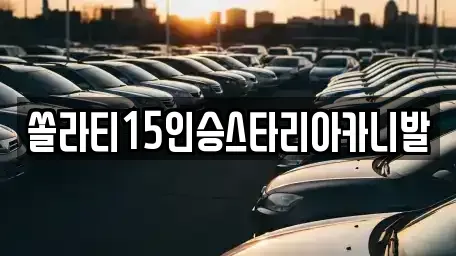 충청북도 충주시 금릉동 렌트카 전문 쏠라티15인승스타리아카니발