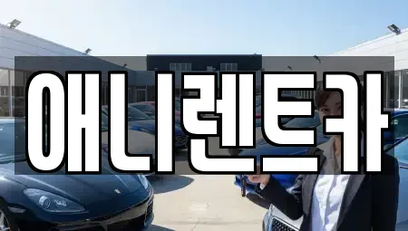 충청북도 충주시 금릉동 렌트카 전문 애니렌트카