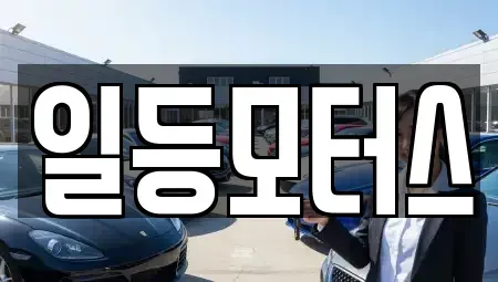 충청북도 충주시 금릉동 중고차 전문 일등모터스