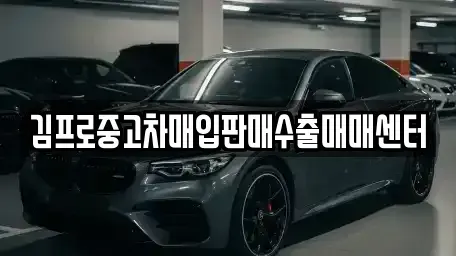 충청북도 충주시 금릉동 중고차매입 전문 김프로중고차매입판매수출매매센터