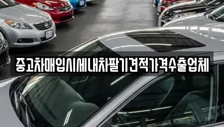 충청북도 충주시 금릉동 중고차매입 전문 중고차매입시세내차팔기견적가격수출업체